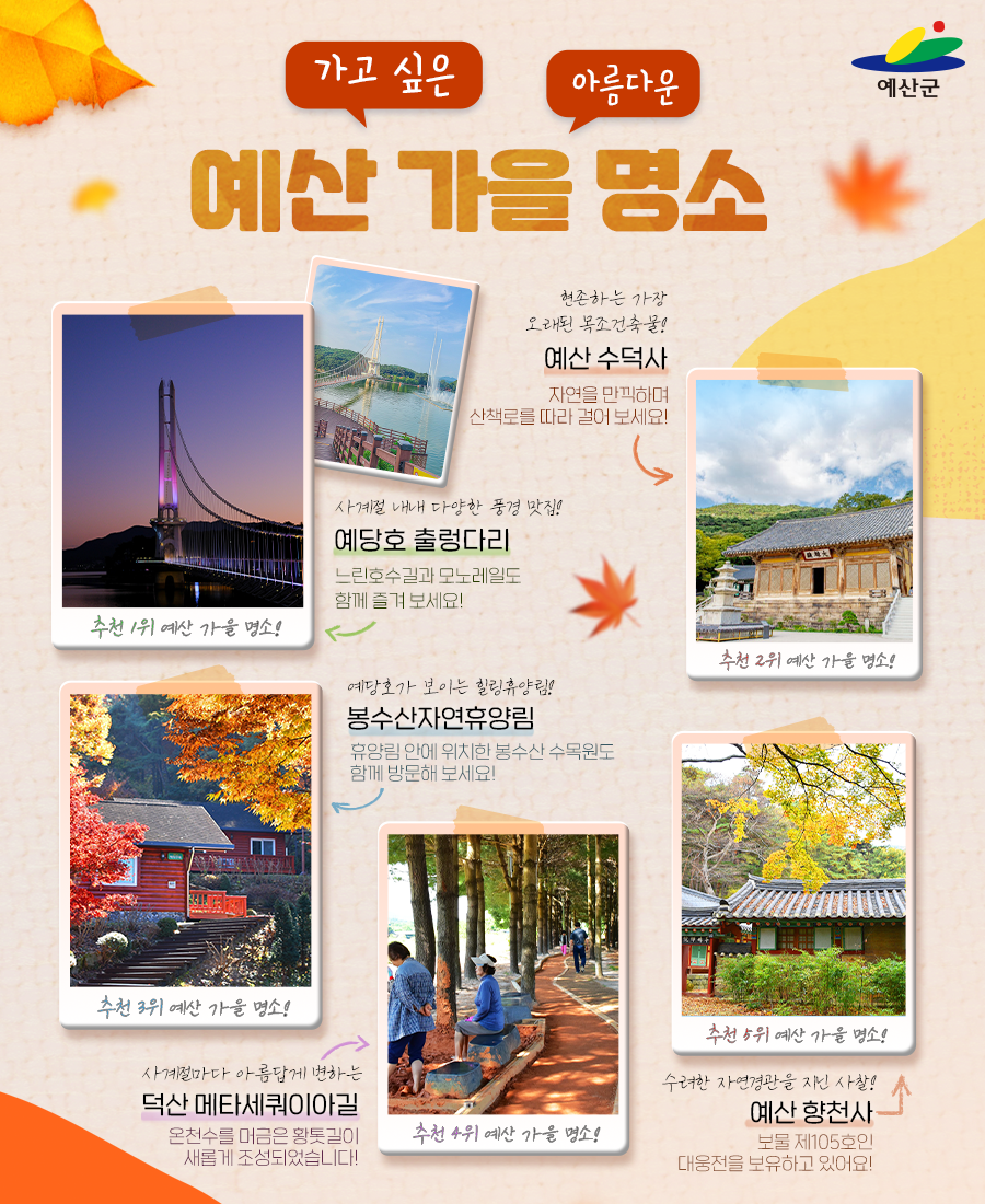 배너