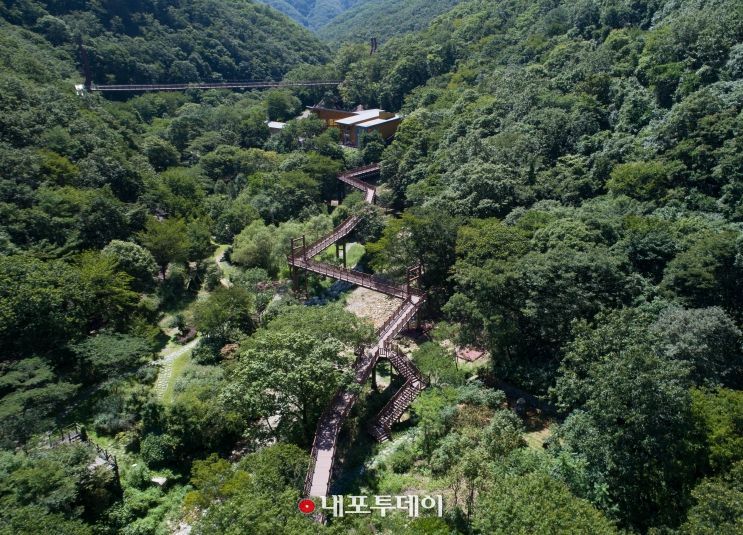 금산산림문화타운