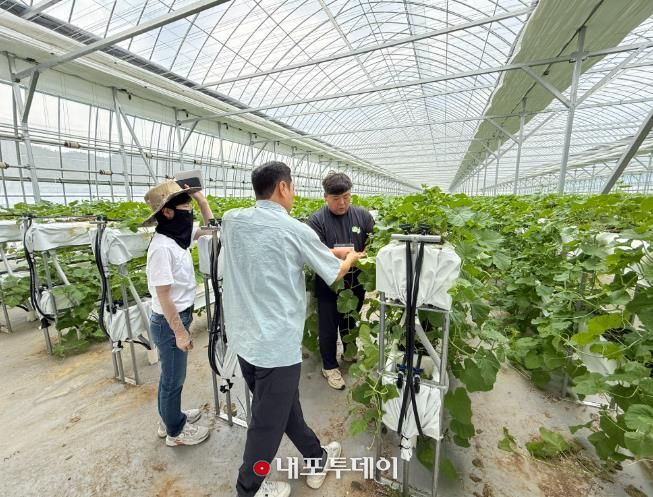지난해 스마트팜 선도농가 현장실습 모습