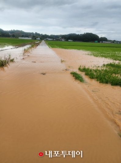 작년 7월 누동지구, 죽림지구 침수 피해 현장 모습.