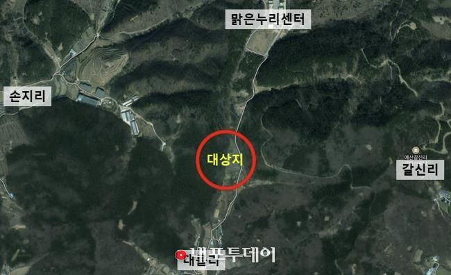 나무 터널 대상지(양묘지)