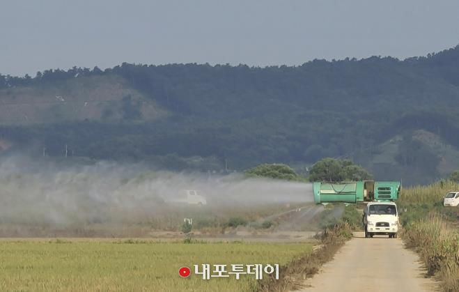 벼에 방제 약제가 살포되는 모습